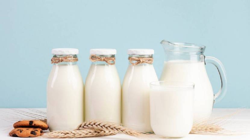 rich source of protein and calcium milk spike your blood sugar levels or not read what expert says