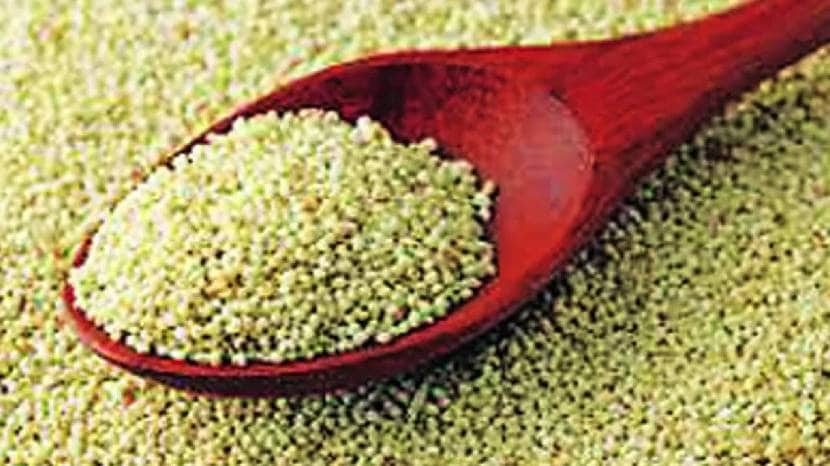 Poppy Seeds Benefits