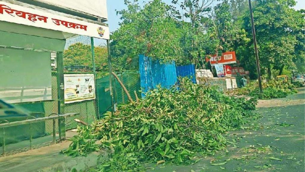 Tree cutting branches on the road negligence of Navi Mumbai Municipal Corporation