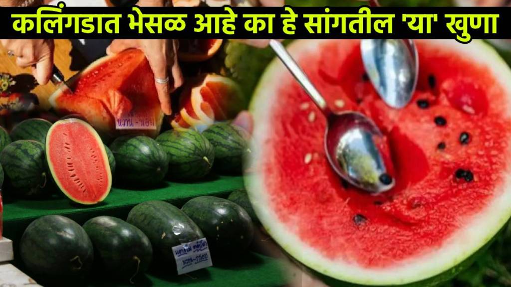 How to Identify Chemically Injected Watermelon FSSAI Suggestion