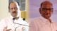 ajit pawar sharad pawar (3)