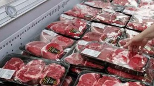 mira road, Seize 1 thousand 500 kg of Beef, seize beef in mira road, mira road beef, cow guards, gau rakshak, police, beef news, mira road news, marathi news,