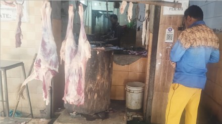 vasai chicken mutton shops marathi news