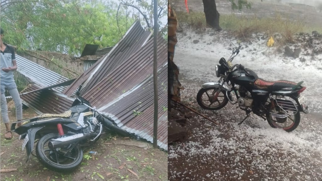 buldhana bull died due to thunderstorm