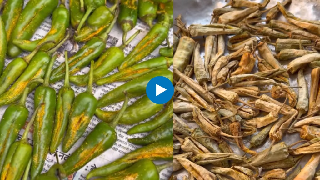 How to make Spicy sandgi Mirchi