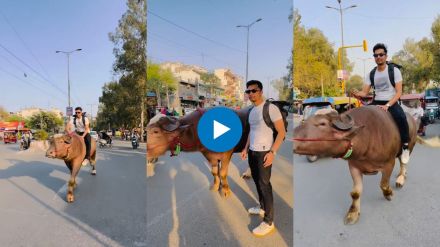 man riding on bull viral video