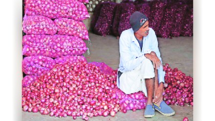 Dilemma of onion growers for 14 months in last five years