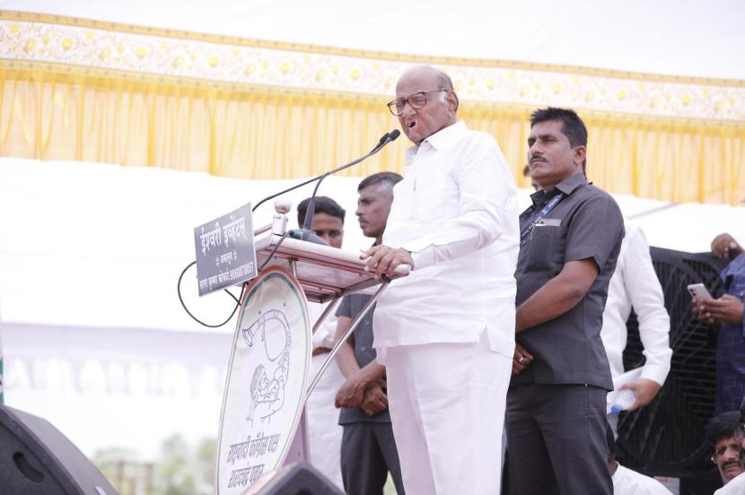 sharad pawar news 
