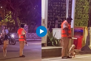 A busy traffic cop his furry friend and a lot of love. Viral video is a must-watch