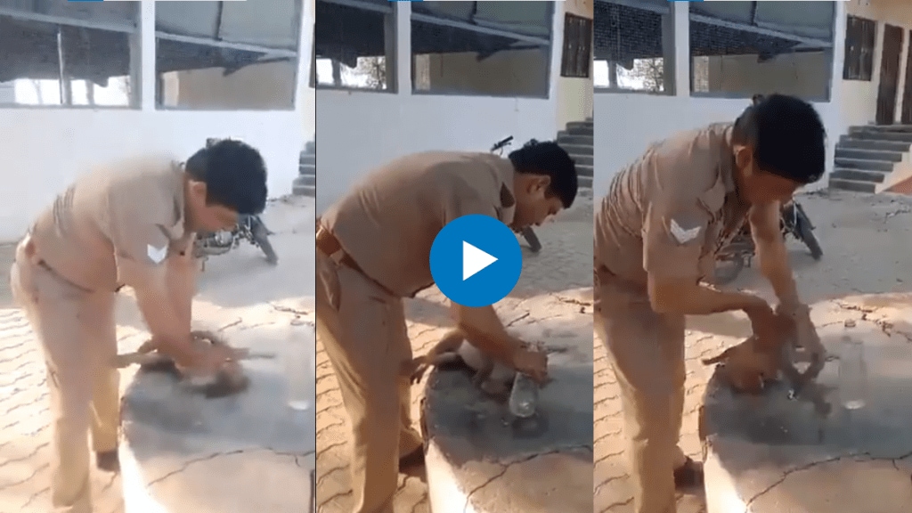 Indian cop administers CPR, revives fainting monkey video goes viral