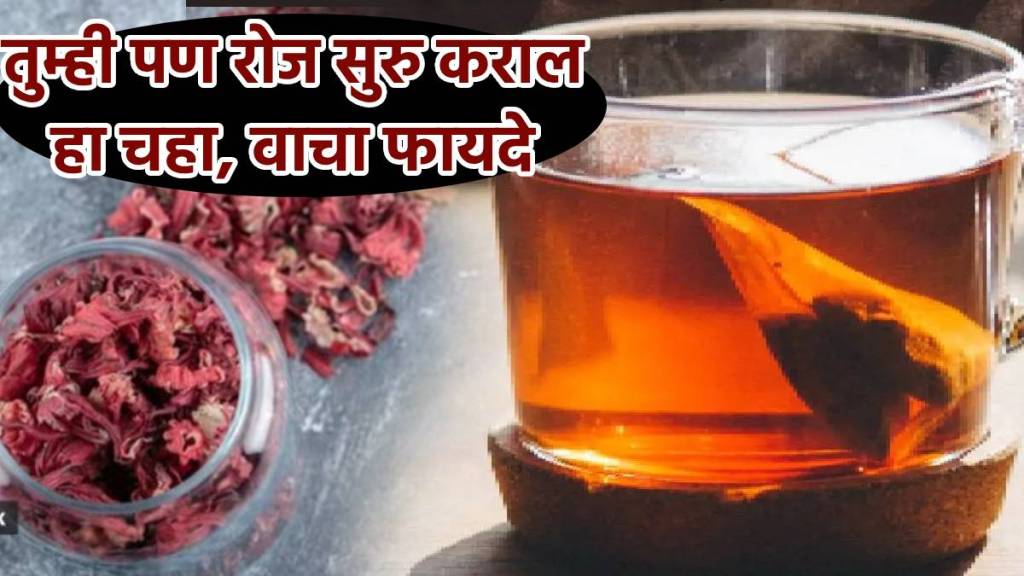 Benefits Of Adding Jaswandi Petals In Tea Can gudhal Phool Help Reduce Blood Sugar