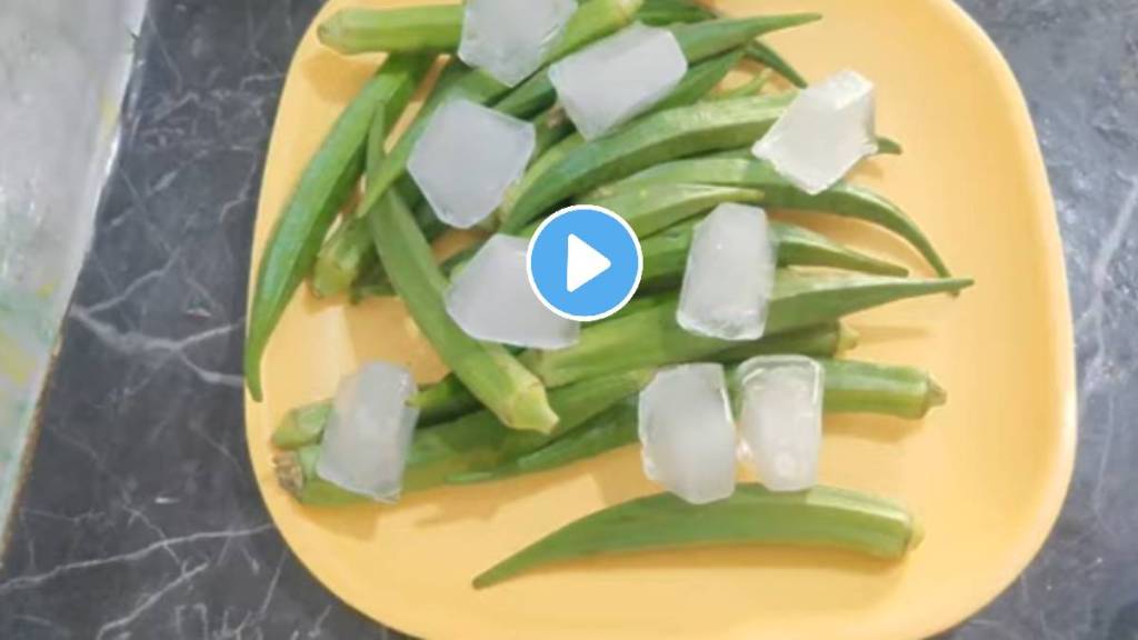 Kitchen Jugad Tips Marathi ice in bhendi sabji how to keep lady finger fresh