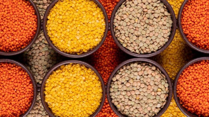 Here is what a 100 gram serving of moong dal contains Can people with diabetes benefit from it read what expert said 