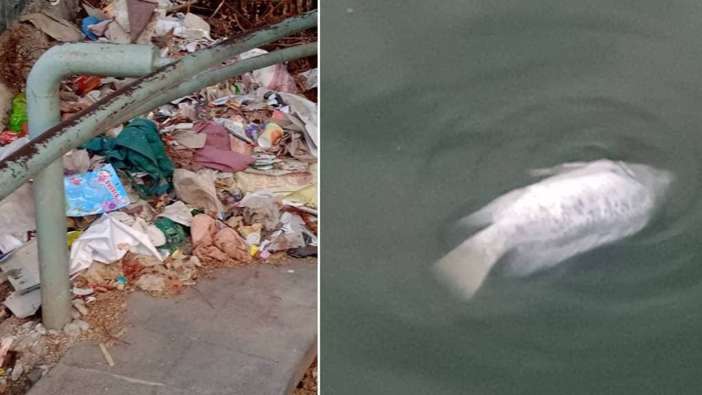 Pollution, Rankala Lake, Kolhapur