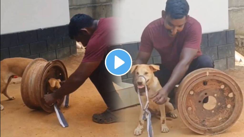 Stray Dog head gets stuck in a circular iron reel Man Politely rescue Him watch heartwarming Viral Video news