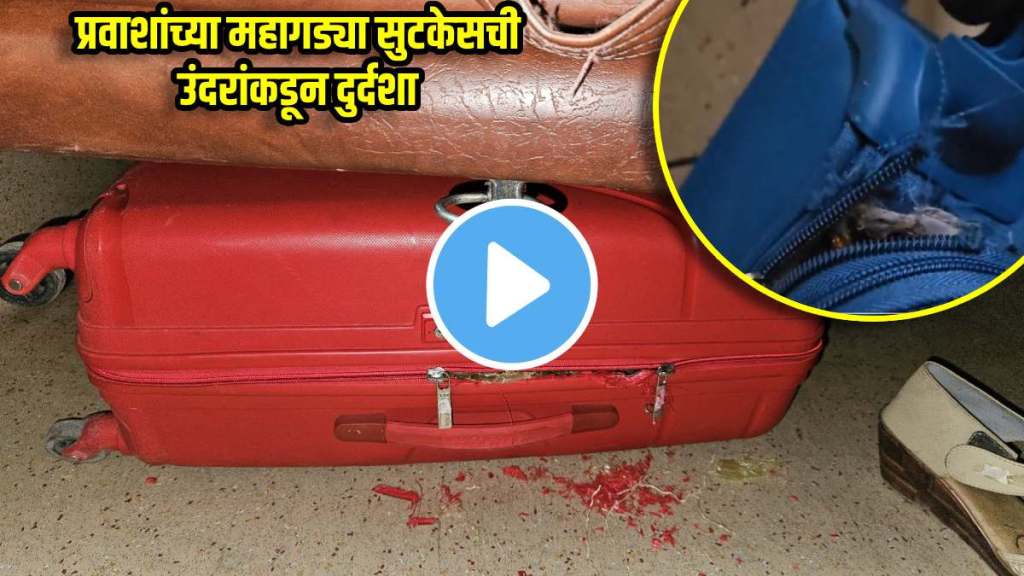 indian railways news rats damaged passengers suitcases in first ac coach of jnaneswari express