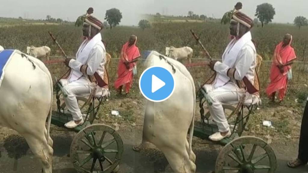 A farmer's son grand entry into the wedding