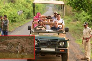 Union Minister Nitin Gadkari visited the Tadoba-Andhari tiger project with his family