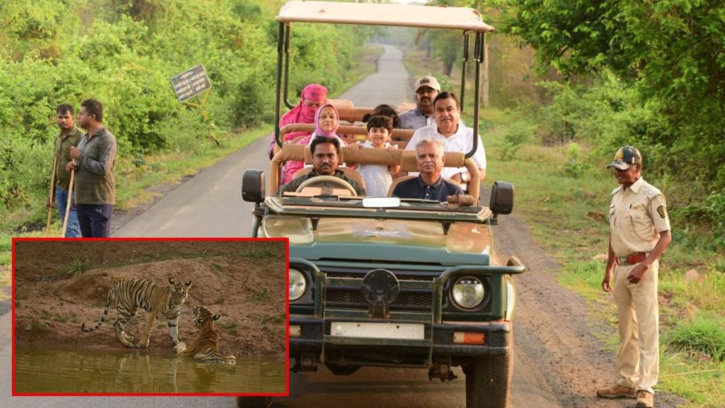 Union Minister Nitin Gadkari visited the Tadoba-Andhari tiger project with his family