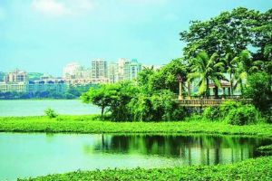 work of removing water leaves from Powai Lake is suspended for the time being