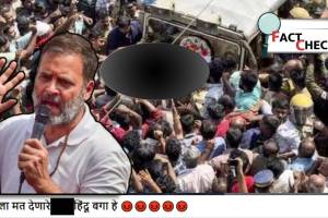 Did Muslims Slaughter Cow For Rahul Gandhi Rally Why Crowd Tied Dead Cow