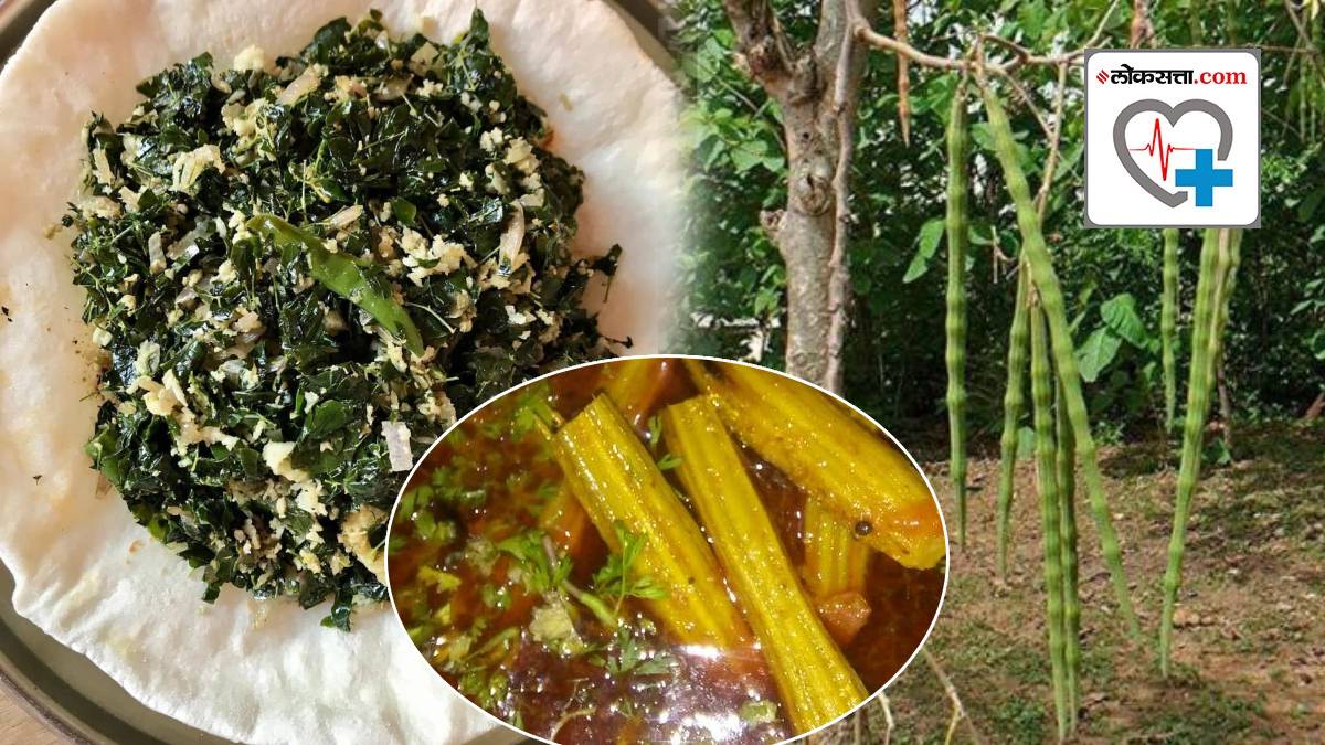 शेवग्याच्या शेंगा व भाजीमध्ये दडलेले फायदे वाचा। Benefits Of Shevgyachi ...