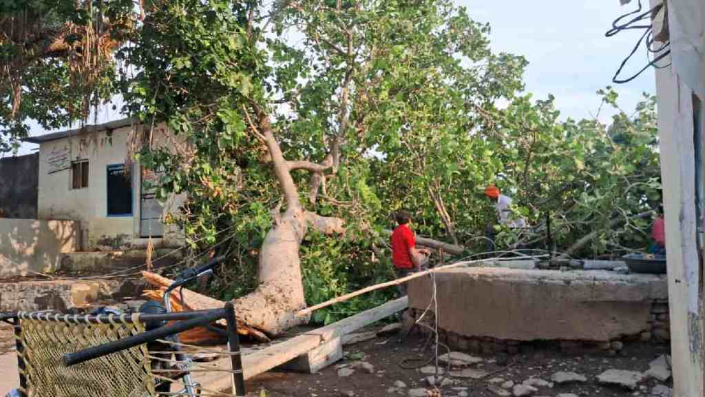 washim, Stormy Rain, High Winds, Stormy Rain in washim, High Winds in washim, Widespread Damage, Power Supply Disrupted,