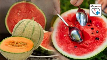 Red Watermelon Causing Food Poisoning How To Find Chemical or Bacteria Containing Kalingad