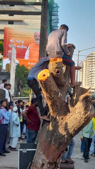 pm modi road show in mumbai 