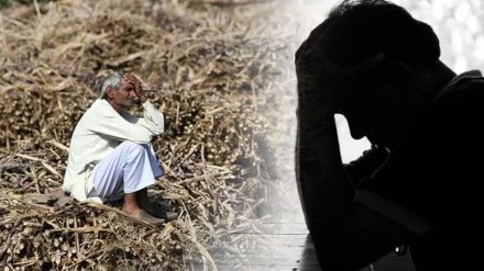 farmers committed suicide in marathwada