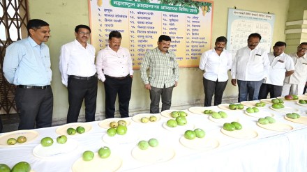 Mangoes, Kolhapur, festival,