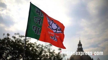 bjp-flag-759