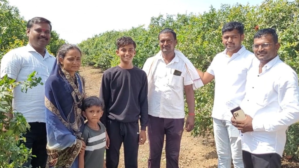 sangli farmer latest marathi news, Pomegranate farm sangli marathi news,