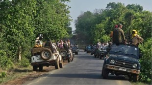 tadoba andhari tiger reserve