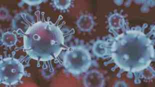 pune, corona virus, KP.2 Subtype , Omicron Variant,KP2 Subtype of Omicron Variant, Omicron Variant Increasing in Maharashtra, Omicron Variant patients Mostly in Pune, pune news, corona new variant news, marathi news