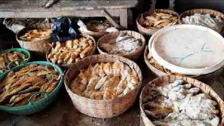 Dried Fish, Dried Fish Prices Surge Due, Decreased Arrivals, High Demand,