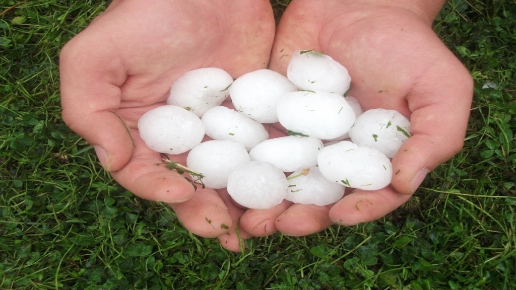 hailstorm, maharashtra,