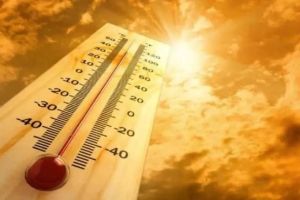 250 heat stroke patients in the state Most patients in Jalna Nashik Buldhana