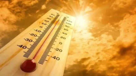 250 heat stroke patients in the state Most patients in Jalna Nashik Buldhana