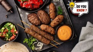 history and origin of kabab