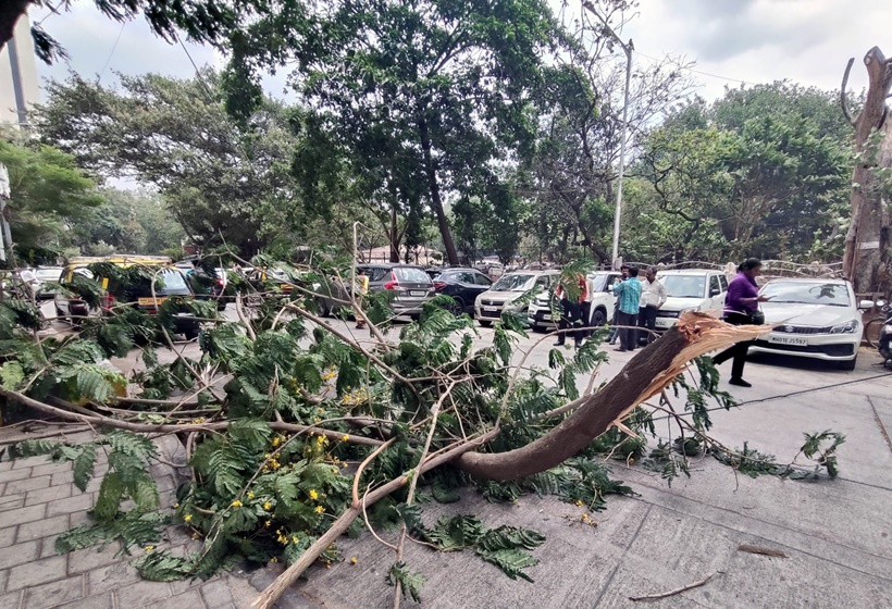 Mumbai rainfall, Mumbai rain alert, IMD alert