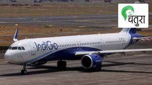 indigo=