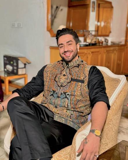 Aly Goni Net Worth