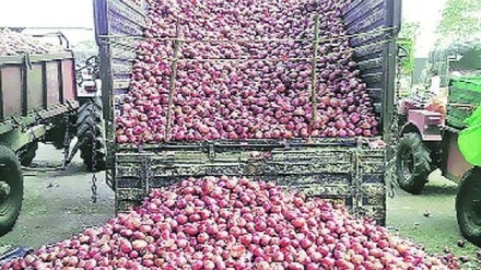 Onion Prices, Onion Prices Remain Depressed, Export Ban Lifted, maharshtra onion, farmers, onion news, marathi news,