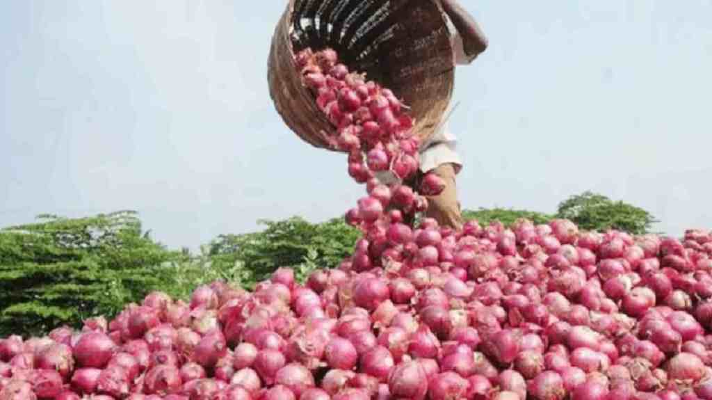 Onion Prices, Onion Prices Plummet, Solapur, Post Lok Sabha Elections, Farmers Suffer Heavy Losses, onion news, Solapur news