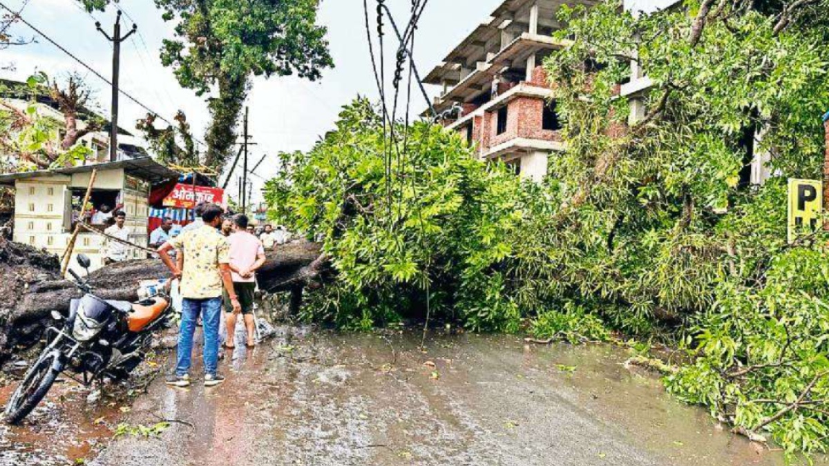 कोकण, विदर्भात वादळी पाऊस ; खेडमध्ये वृक्षांची पडझड; नागपुरात सोसाट्याच्या वाऱ्यासह सरी | torrential rains create a havoc in konkan and vidarbha region zws 70