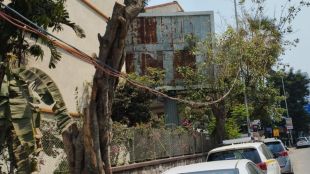 trees which are obstructing the boards are being cut down indiscriminately
