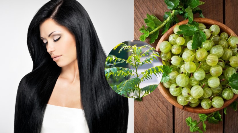 White hair remedy to turn white hair to black curry leaves for and amla juice for white hair