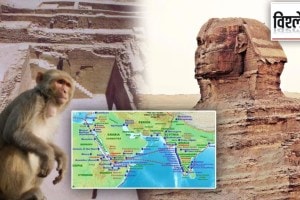 Ancient Egyptian and Indian trade- exploring-ancient-Egyptian-burial-grounds-Indian monkeys-indo-roman-trade