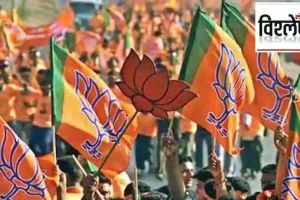 Why was Bharatiya Janata Party defeated in a stronghold like Vidarbha